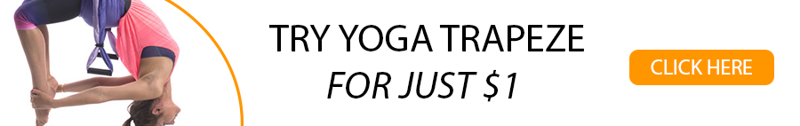 Yogabody Yoga Trapeze Trial
